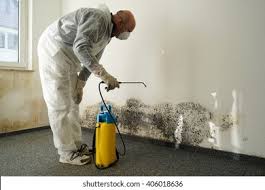 Best Black Mold Removal  in Las Vegas, NV